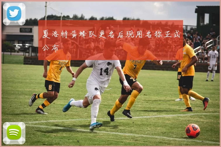 夏洛特黄蜂队更名后现用名称正式公布