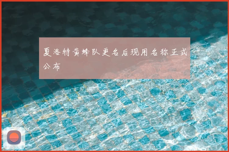 夏洛特黄蜂队更名后现用名称正式公布