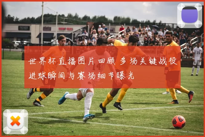 世界杯直播图片回顾 多场关键战役进球瞬间与赛场细节曝光