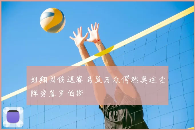 刘翔因伤退赛鸟巢万众愕然奥运金牌旁落罗伯斯