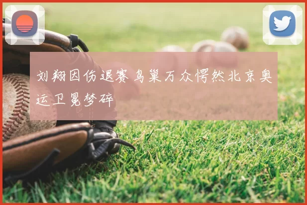 刘翔因伤退赛鸟巢万众愕然北京奥运卫冕梦碎
