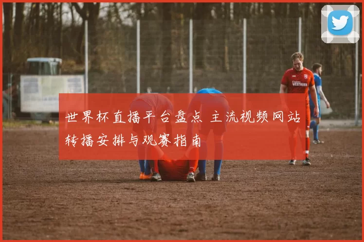 世界杯直播平台盘点 主流视频网站转播安排与观赛指南